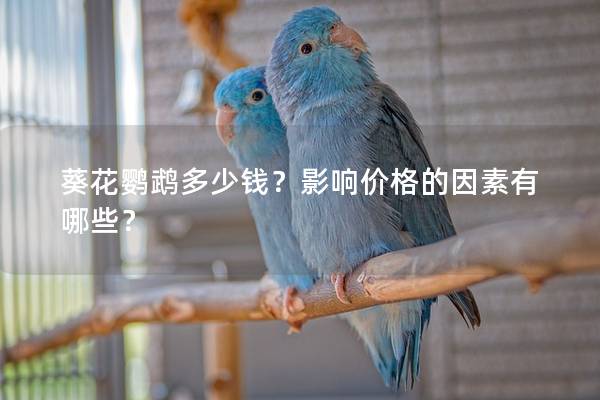 葵花鹦鹉多少钱？影响价格的因素有哪些？