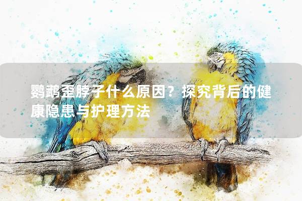 鹦鹉歪脖子什么原因？探究背后的健康隐患与护理方法