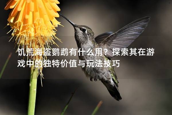饥荒海盗鹦鹉有什么用？探索其在游戏中的独特价值与玩法技巧