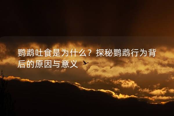 鹦鹉吐食是为什么？探秘鹦鹉行为背后的原因与意义