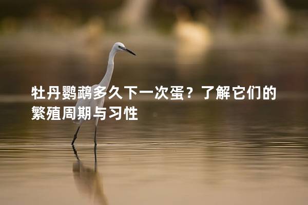 牡丹鹦鹉多久下一次蛋？了解它们的繁殖周期与习性