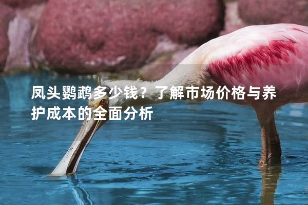 凤头鹦鹉多少钱？了解市场价格与养护成本的全面分析