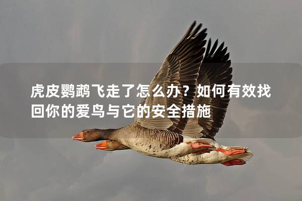 虎皮鹦鹉飞走了怎么办？如何有效找回你的爱鸟与它的安全措施