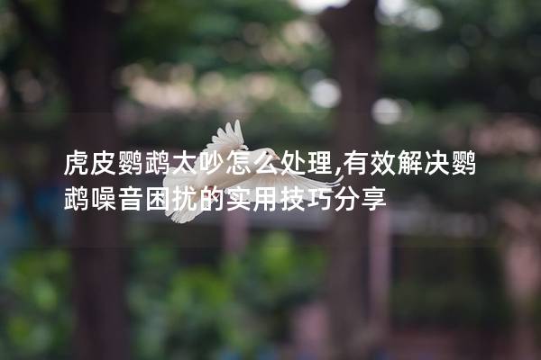 虎皮鹦鹉太吵怎么处理,有效解决鹦鹉噪音困扰的实用技巧分享