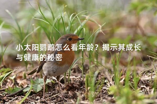 小太阳鹦鹉怎么看年龄？揭示其成长与健康的秘密