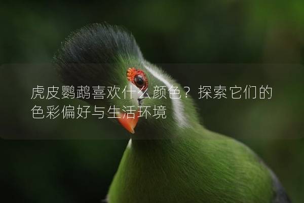 虎皮鹦鹉喜欢什么颜色？探索它们的色彩偏好与生活环境