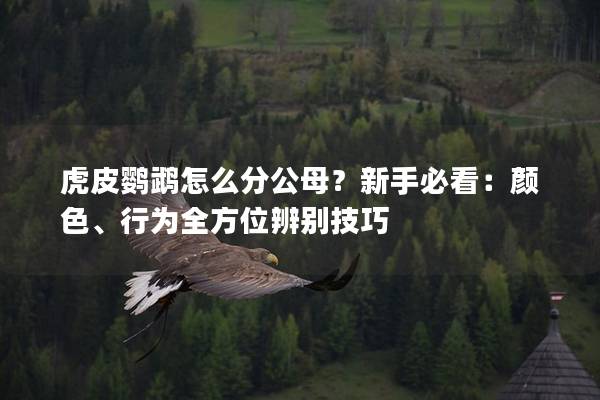 虎皮鹦鹉怎么分公母？新手必看：颜色、行为全方位辨别技巧