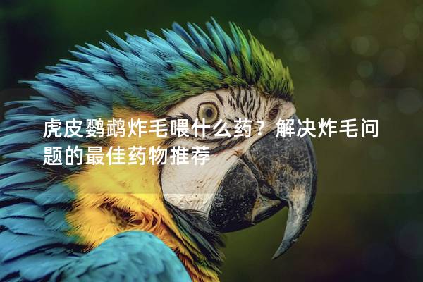 虎皮鹦鹉炸毛喂什么药？解决炸毛问题的最佳药物推荐