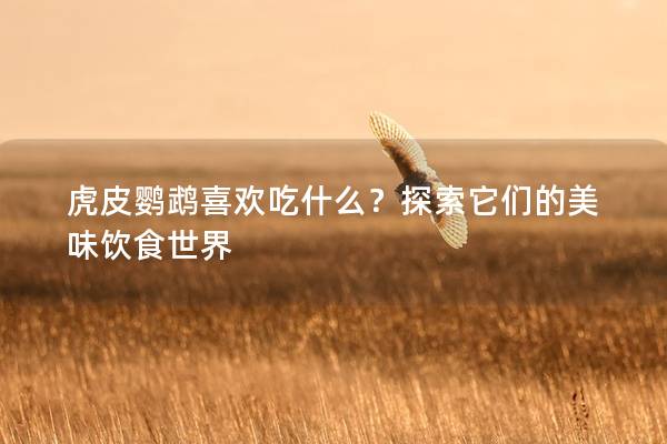 虎皮鹦鹉喜欢吃什么？探索它们的美味饮食世界