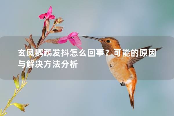 玄凤鹦鹉发抖怎么回事？可能的原因与解决方法分析