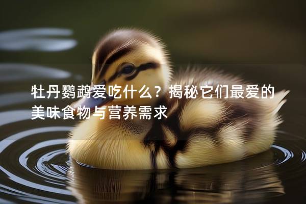 牡丹鹦鹉爱吃什么？揭秘它们最爱的美味食物与营养需求