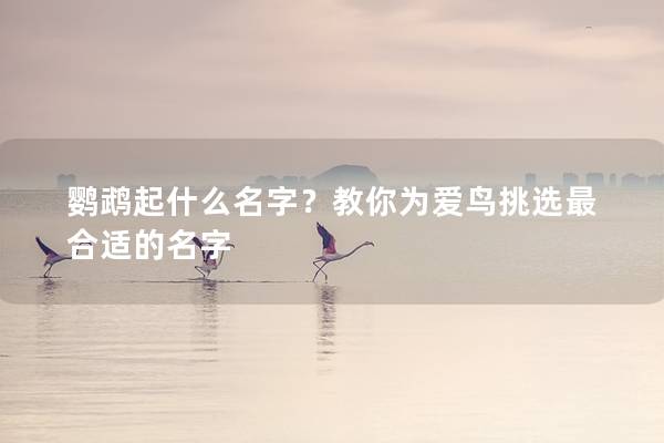 鹦鹉起什么名字？教你为爱鸟挑选最合适的名字