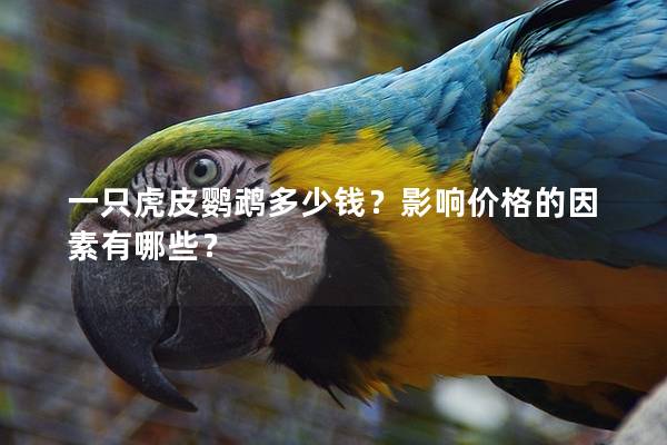 一只虎皮鹦鹉多少钱？影响价格的因素有哪些？