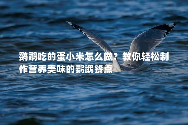 鹦鹉吃的蛋小米怎么做？教你轻松制作营养美味的鹦鹉餐点