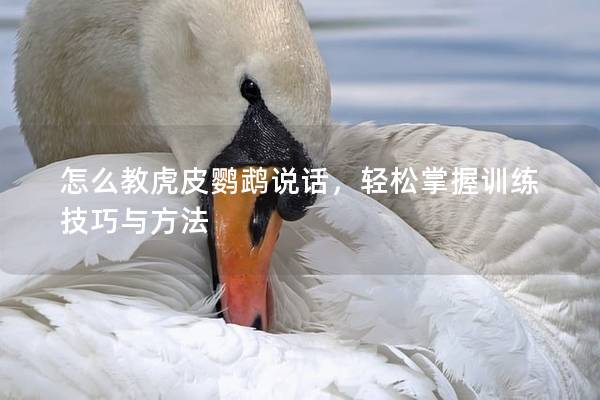怎么教虎皮鹦鹉说话，轻松掌握训练技巧与方法