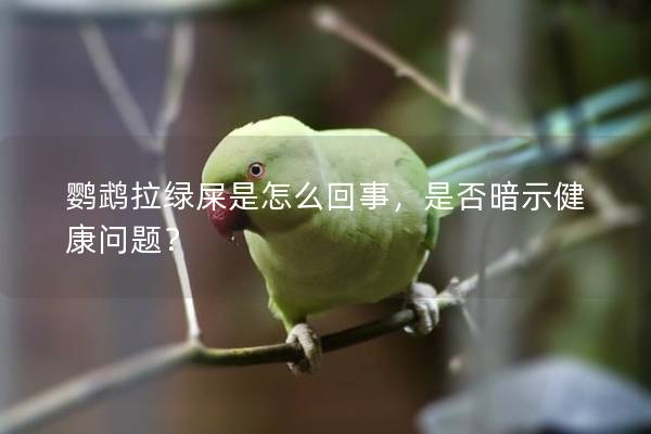 鹦鹉拉绿屎是怎么回事，是否暗示健康问题？