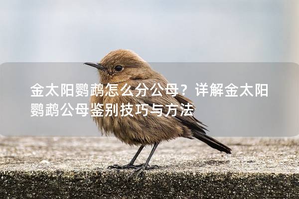 金太阳鹦鹉怎么分公母？详解金太阳鹦鹉公母鉴别技巧与方法