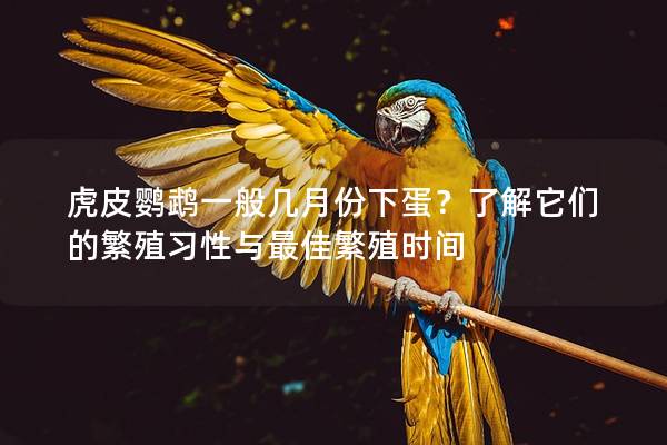 虎皮鹦鹉一般几月份下蛋？了解它们的繁殖习性与最佳繁殖时间