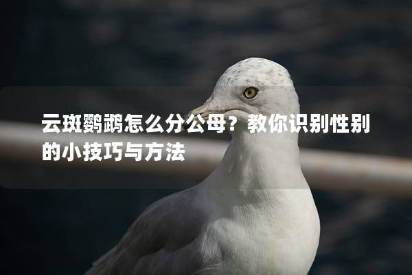 云斑鹦鹉怎么分公母？教你识别性别的小技巧与方法