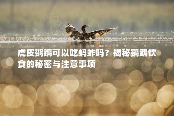 虎皮鹦鹉可以吃蚂蚱吗？揭秘鹦鹉饮食的秘密与注意事项
