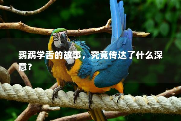 鹦鹉学舌的故事，究竟传达了什么深意？
