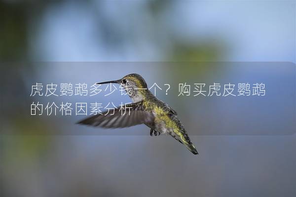 虎皮鹦鹉多少钱一个？购买虎皮鹦鹉的价格因素分析