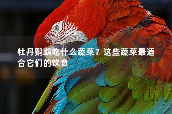 牡丹鹦鹉吃什么蔬菜？这些蔬菜最适合它们的饮食