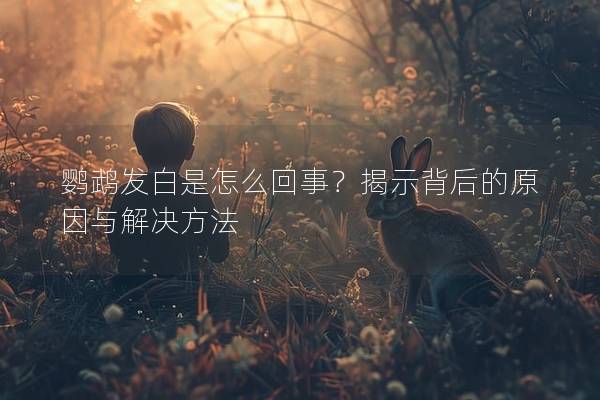 鹦鹉发白是怎么回事？揭示背后的原因与解决方法