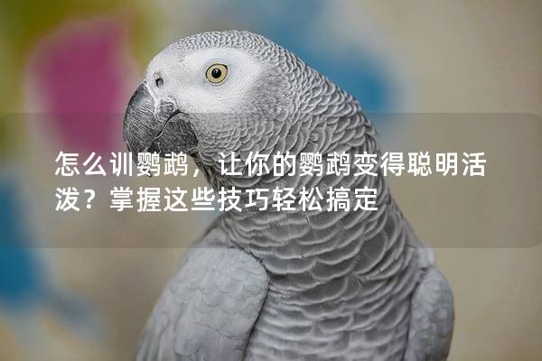 怎么训鹦鹉，让你的鹦鹉变得聪明活泼？掌握这些技巧轻松搞定