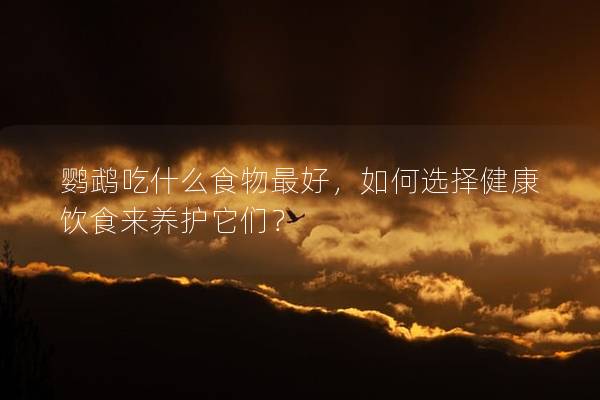 鹦鹉吃什么食物最好，如何选择健康饮食来养护它们？