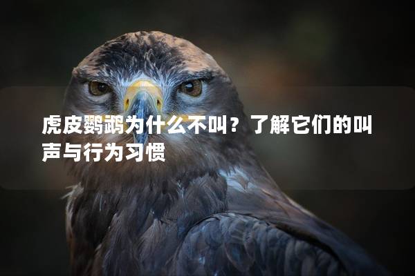 虎皮鹦鹉为什么不叫？了解它们的叫声与行为习惯