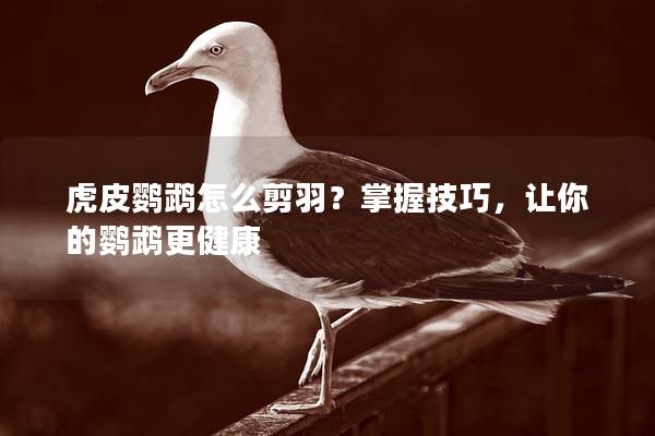 虎皮鹦鹉怎么剪羽？掌握技巧，让你的鹦鹉更健康