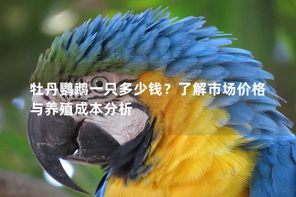 牡丹鹦鹉一只多少钱？了解市场价格与养殖成本分析