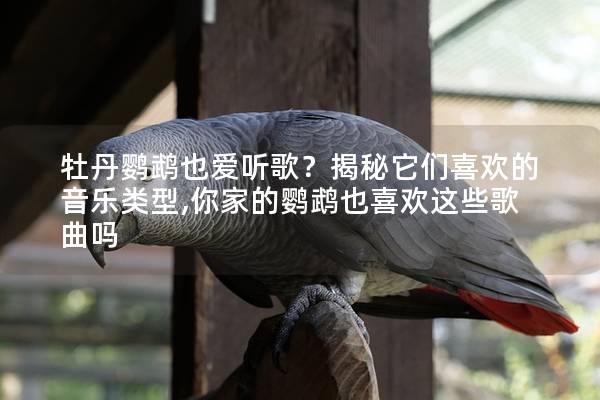 牡丹鹦鹉也爱听歌？揭秘它们喜欢的音乐类型,你家的鹦鹉也喜欢这些歌曲吗