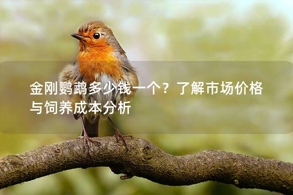 金刚鹦鹉多少钱一个？了解市场价格与饲养成本分析