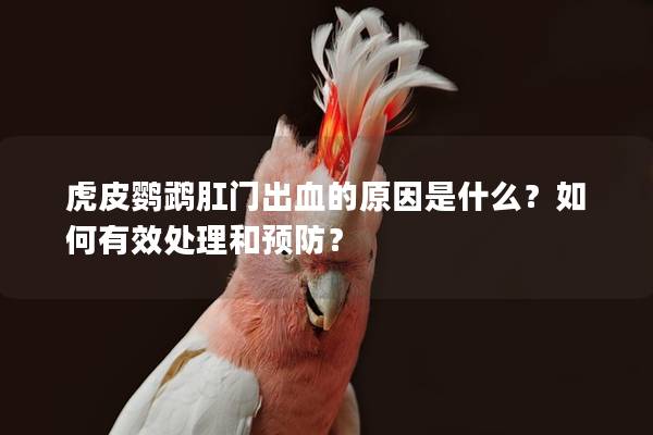 虎皮鹦鹉肛门出血的原因是什么？如何有效处理和预防？