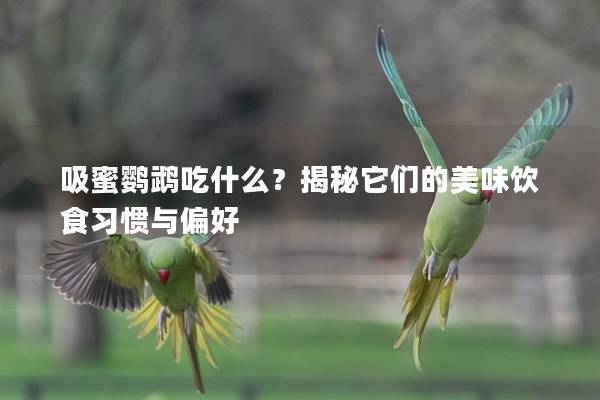 吸蜜鹦鹉吃什么？揭秘它们的美味饮食习惯与偏好