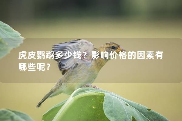 虎皮鹦鹉多少钱？影响价格的因素有哪些呢？