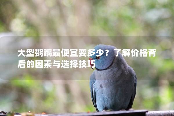 大型鹦鹉最便宜要多少？了解价格背后的因素与选择技巧