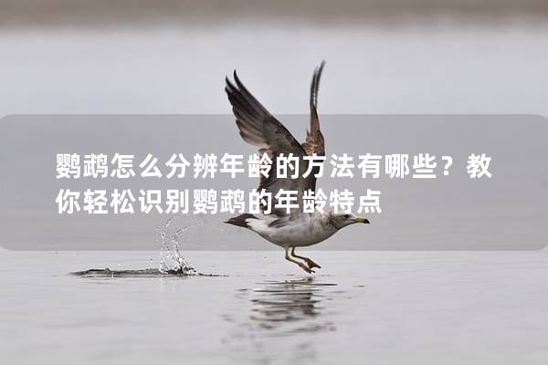鹦鹉怎么分辨年龄的方法有哪些？教你轻松识别鹦鹉的年龄特点