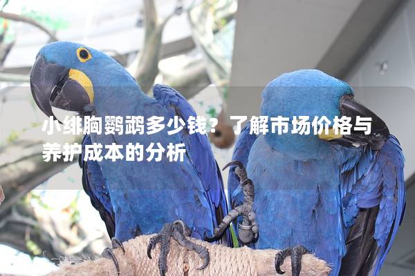 小绯胸鹦鹉多少钱？了解市场价格与养护成本的分析