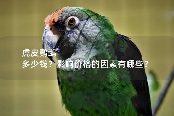虎皮鹦鹉 多少钱？影响价格的因素有哪些？