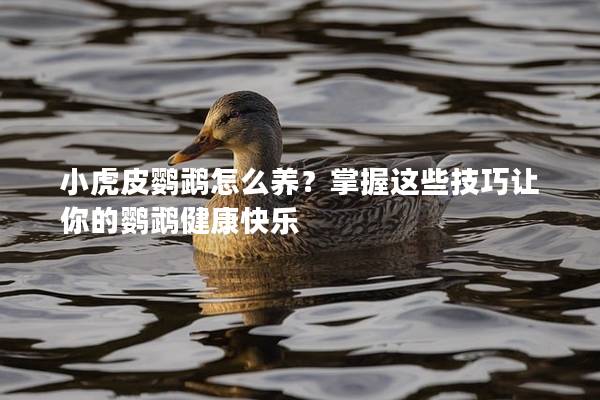 小虎皮鹦鹉怎么养？掌握这些技巧让你的鹦鹉健康快乐