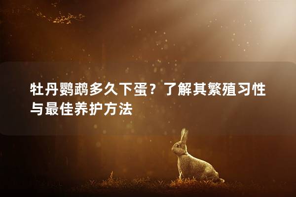 牡丹鹦鹉多久下蛋？了解其繁殖习性与最佳养护方法