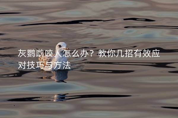 灰鹦鹉咬人怎么办？教你几招有效应对技巧与方法