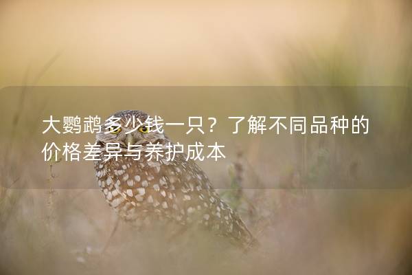 大鹦鹉多少钱一只？了解不同品种的价格差异与养护成本