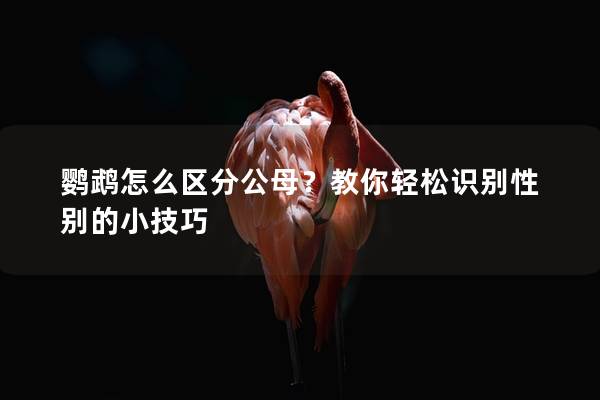 鹦鹉怎么区分公母？教你轻松识别性别的小技巧