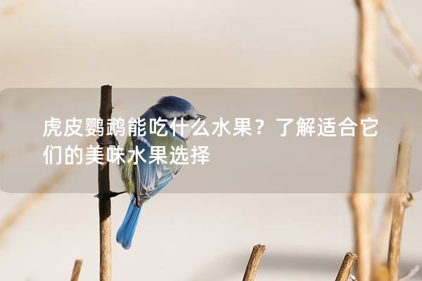 虎皮鹦鹉能吃什么水果？了解适合它们的美味水果选择
