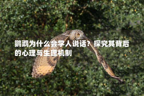 鹦鹉为什么会学人说话？探究其背后的心理与生理机制