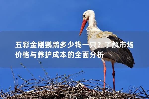 五彩金刚鹦鹉多少钱一只？了解市场价格与养护成本的全面分析